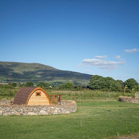 Готель Bluebell Lane Glamping Ньюрі Екстер'єр фото