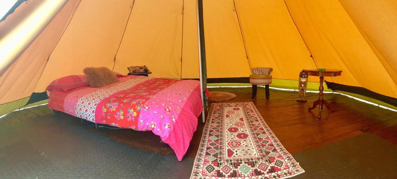 Готель Bluebell Lane Glamping Ньюрі Екстер'єр фото