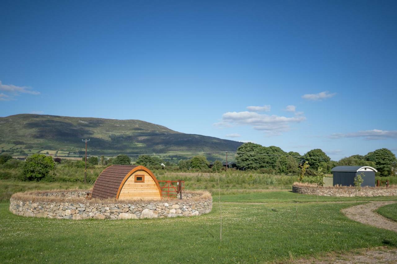 Готель Bluebell Lane Glamping Ньюрі Екстер'єр фото