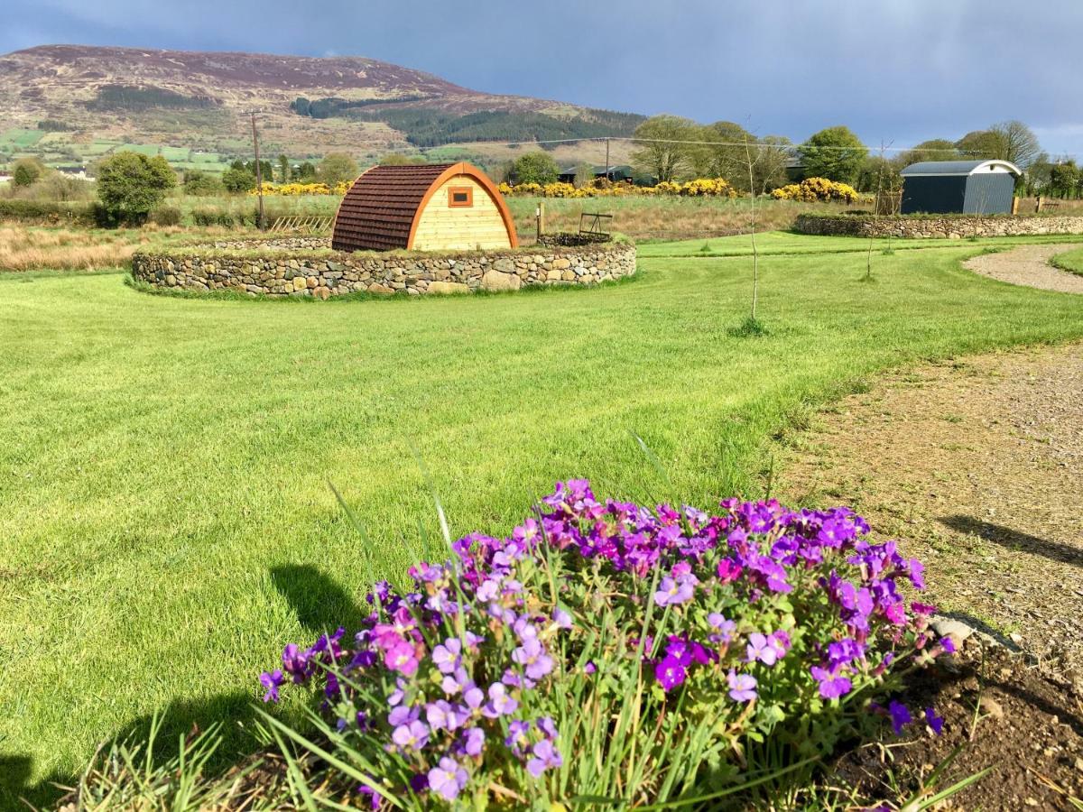 Готель Bluebell Lane Glamping Ньюрі Екстер'єр фото