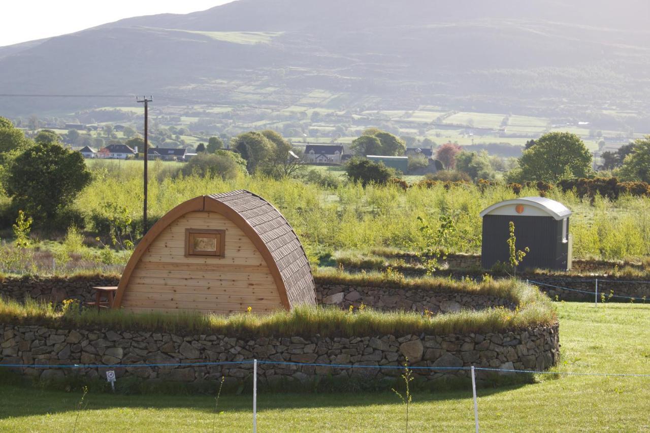 Готель Bluebell Lane Glamping Ньюрі Екстер'єр фото