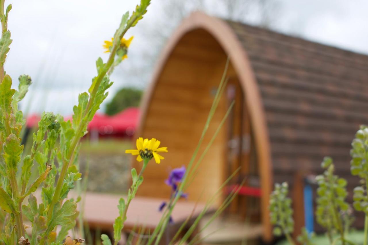 Готель Bluebell Lane Glamping Ньюрі Екстер'єр фото