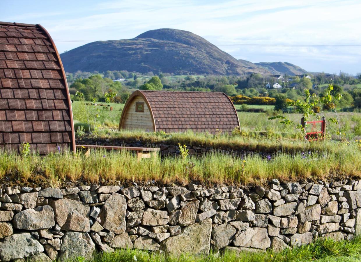 Готель Bluebell Lane Glamping Ньюрі Екстер'єр фото